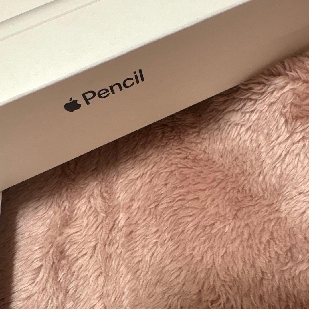 Apple Pencil第1世代 アップルペンシル 美品 アップルペンシル apple
