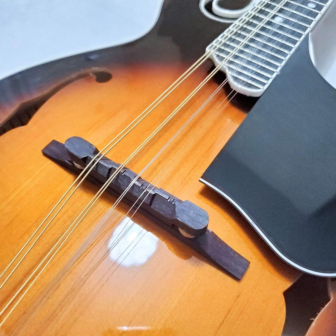 極美品✨️】ARIA AM-40 フラットマンドリン ハードケース付き