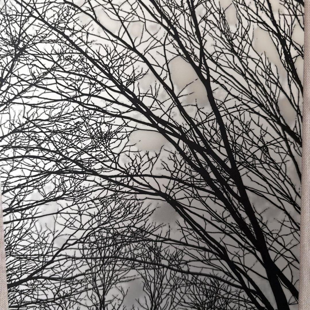 原画【富岡惣一郎】 早春・梢 けやき林 八海山 白の世界 文化村