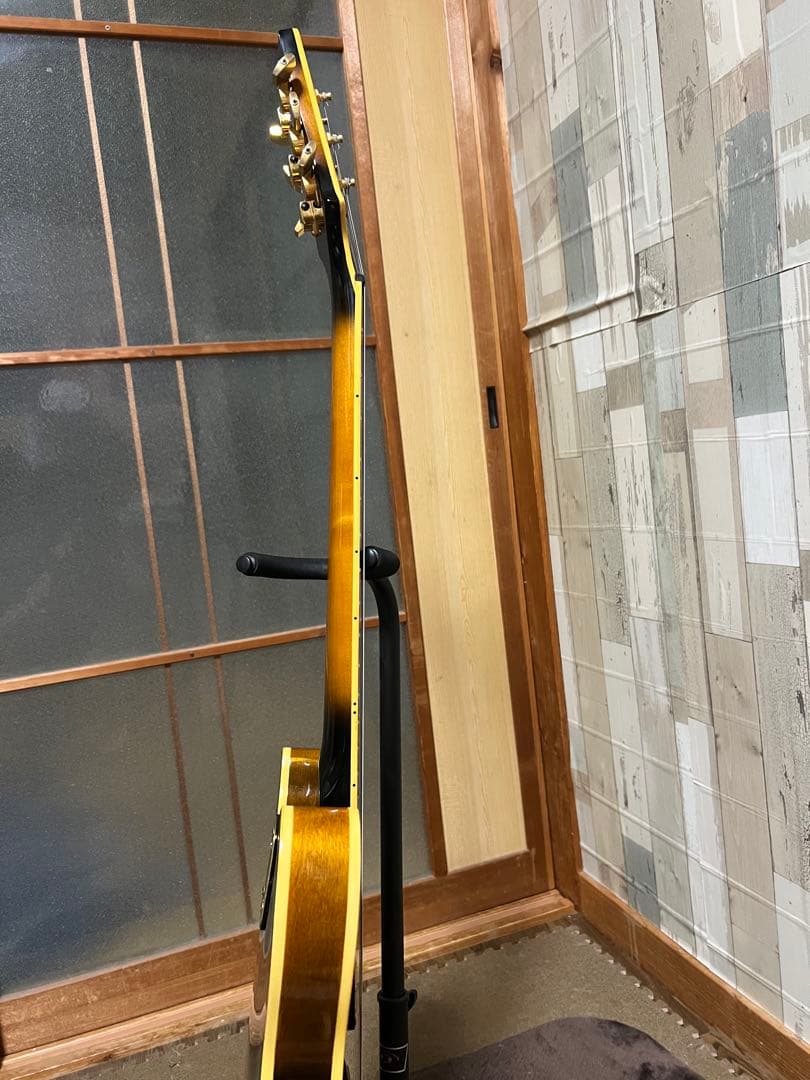 Aria Pro II TA-03 セミアコ　アリアプロ　ソフトケース付き