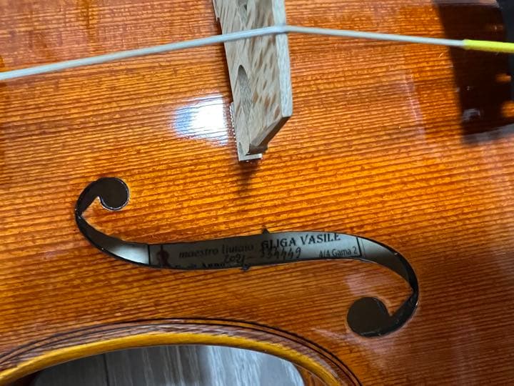 【新品同様】Gliga Gama2 4/4 弓、ケース、肩当てセット