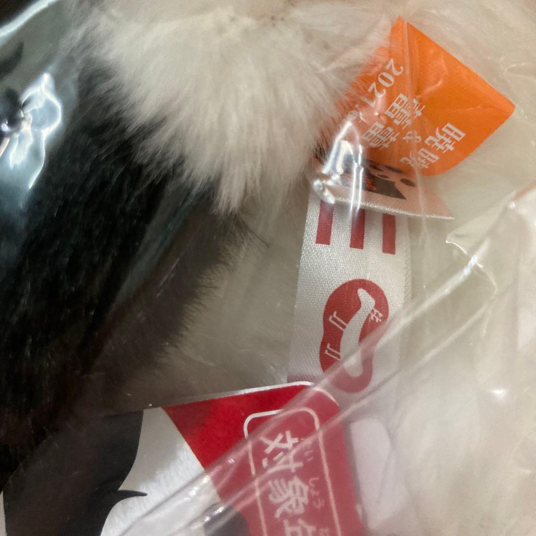 レイレイ　蕾蕾　ぬいぐるみ抱っこミニ　上野動物園　パンダ　新品未開封