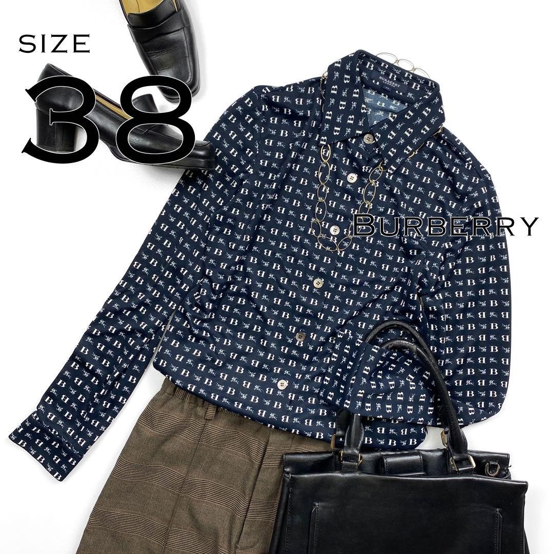 オールドコレクション！珍しいペルー産の黒色のアンモナイト