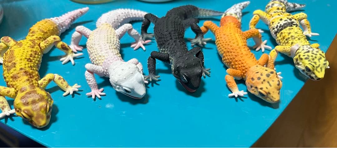 いきもの大図鑑◎ヒョウモントカゲモドキ ガチャ コンプセット他 全14