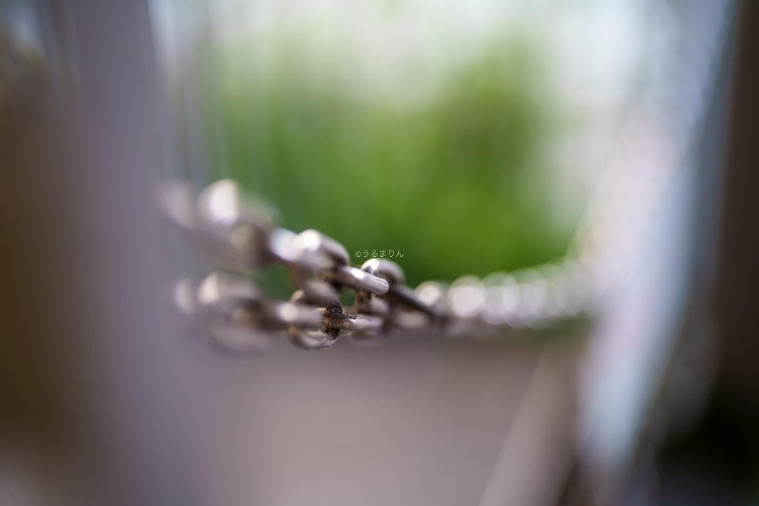 Dyz様 極美品！現代最高の50mm！SONY FE 50mm F1.2 GM