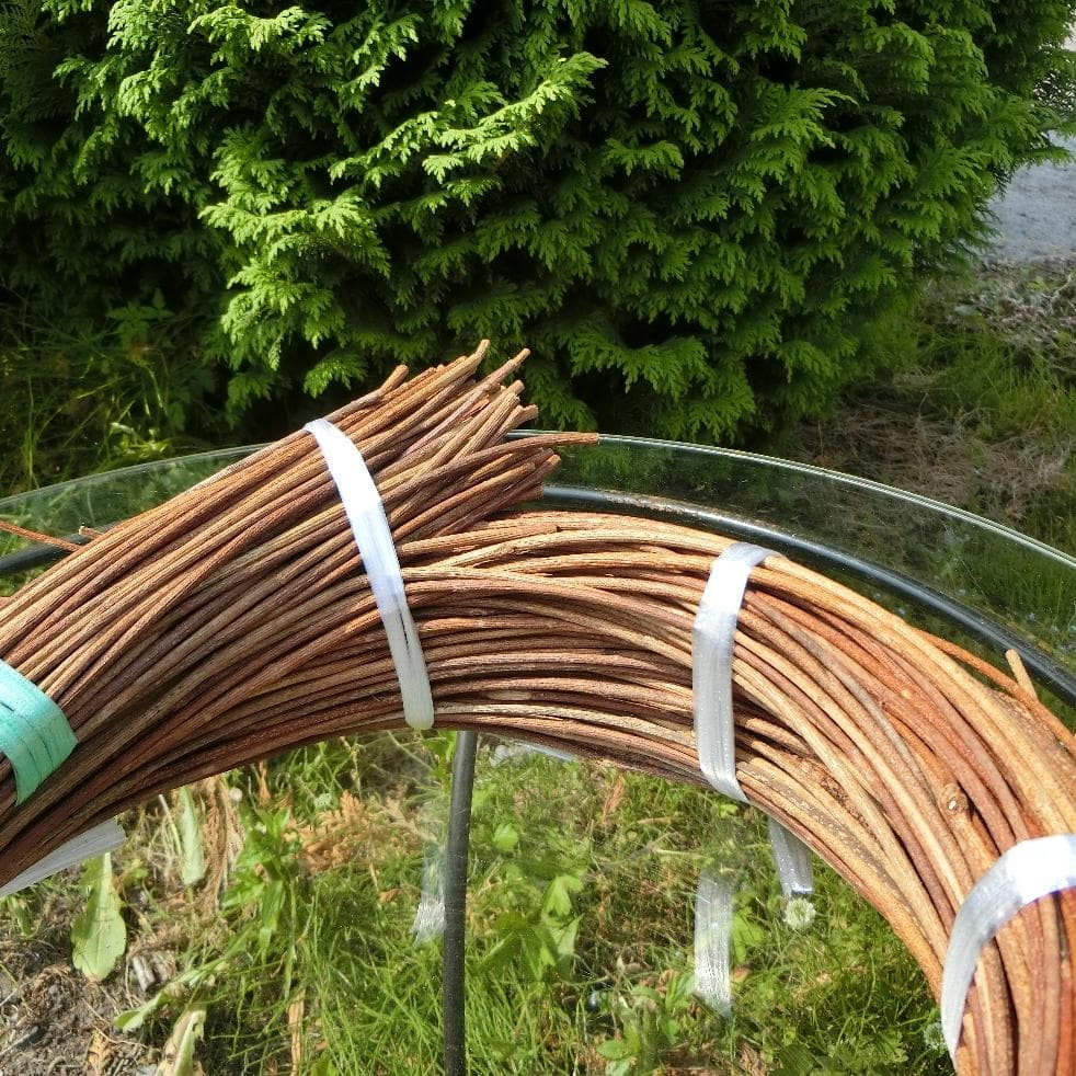 青森岩木山採取　あけび蔓　150cm～ 1kg