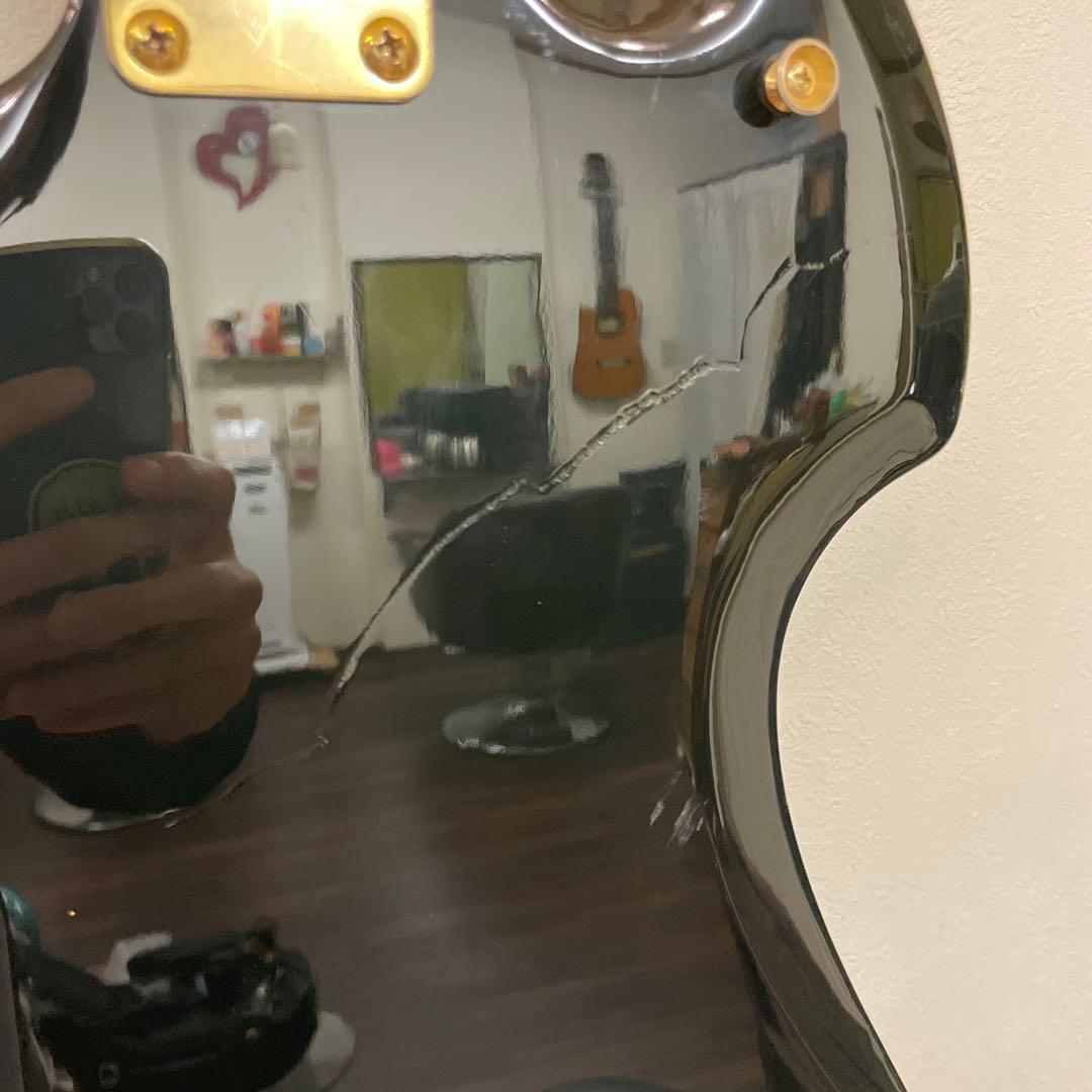 Photogenic モッキンバード