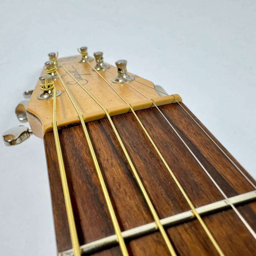 訳あり】 Seagull シーガル AT SG T35 エレアコ アコギ