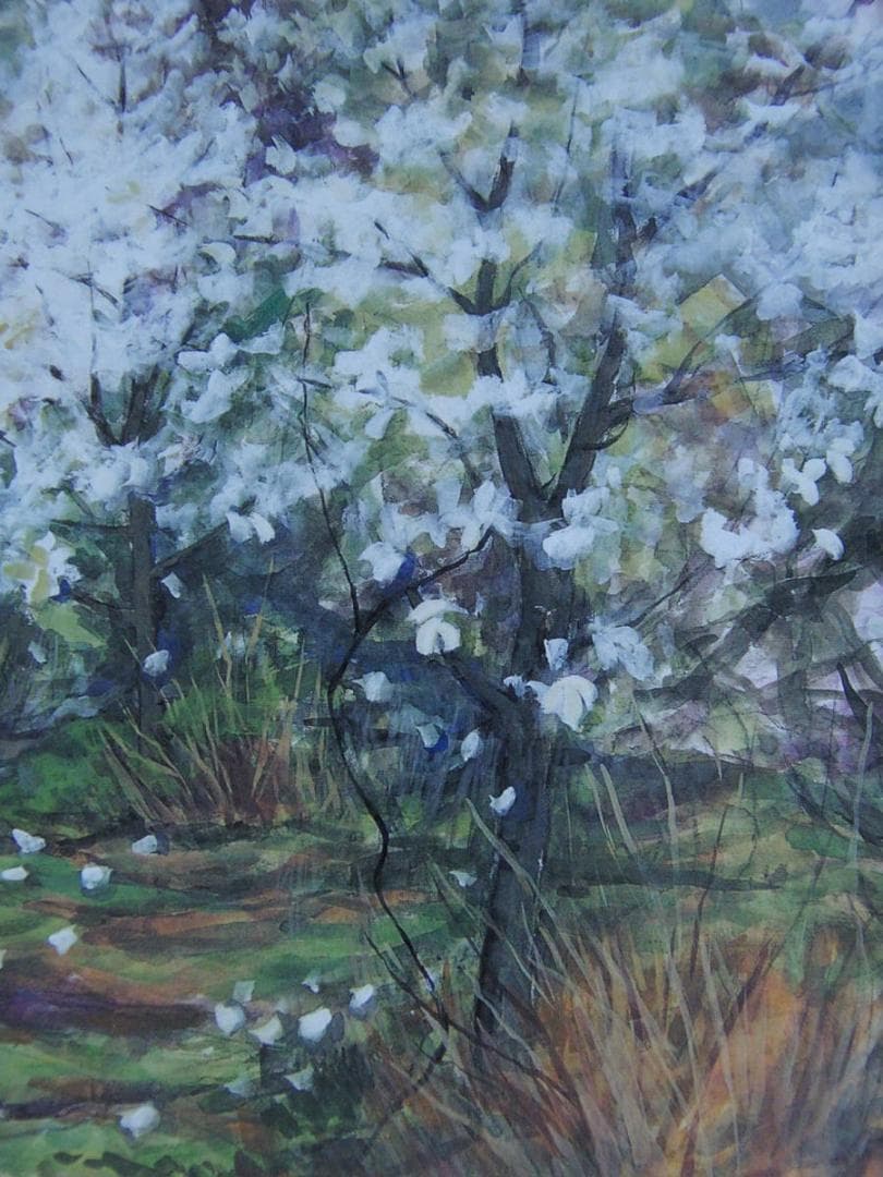 坂口かほる、【雨降る山の春】、希少な額装用画集より、新品額装付、状態良好