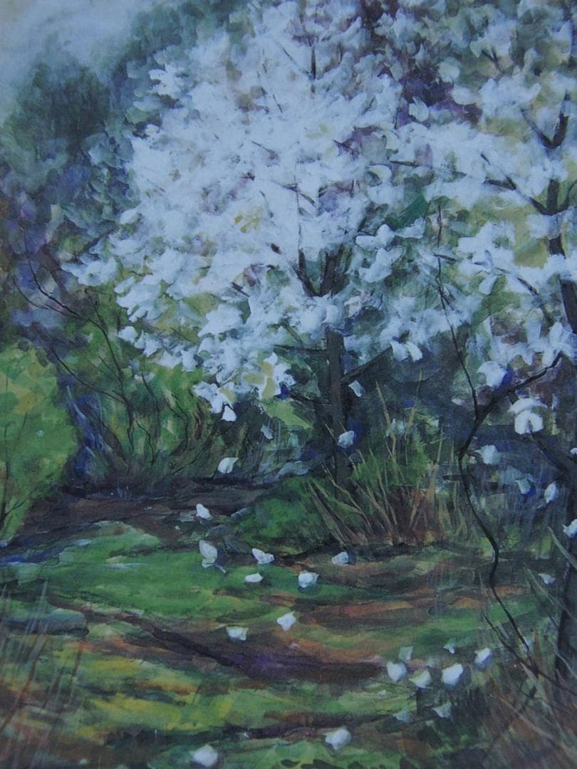 坂口かほる、【雨降る山の春】、希少な額装用画集より、新品額装付、状態良好