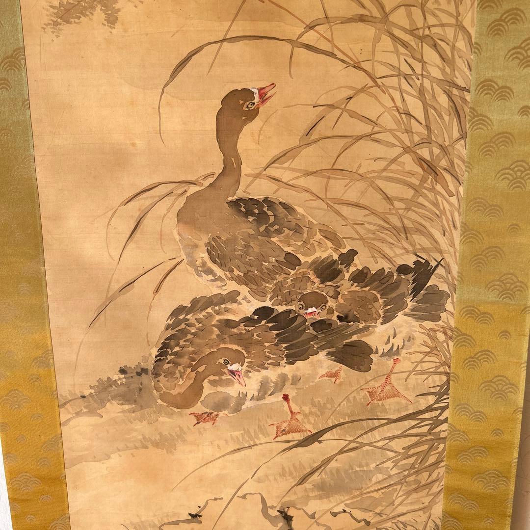 日本画掛軸　椿椿山 日本画掛軸 椿椿山