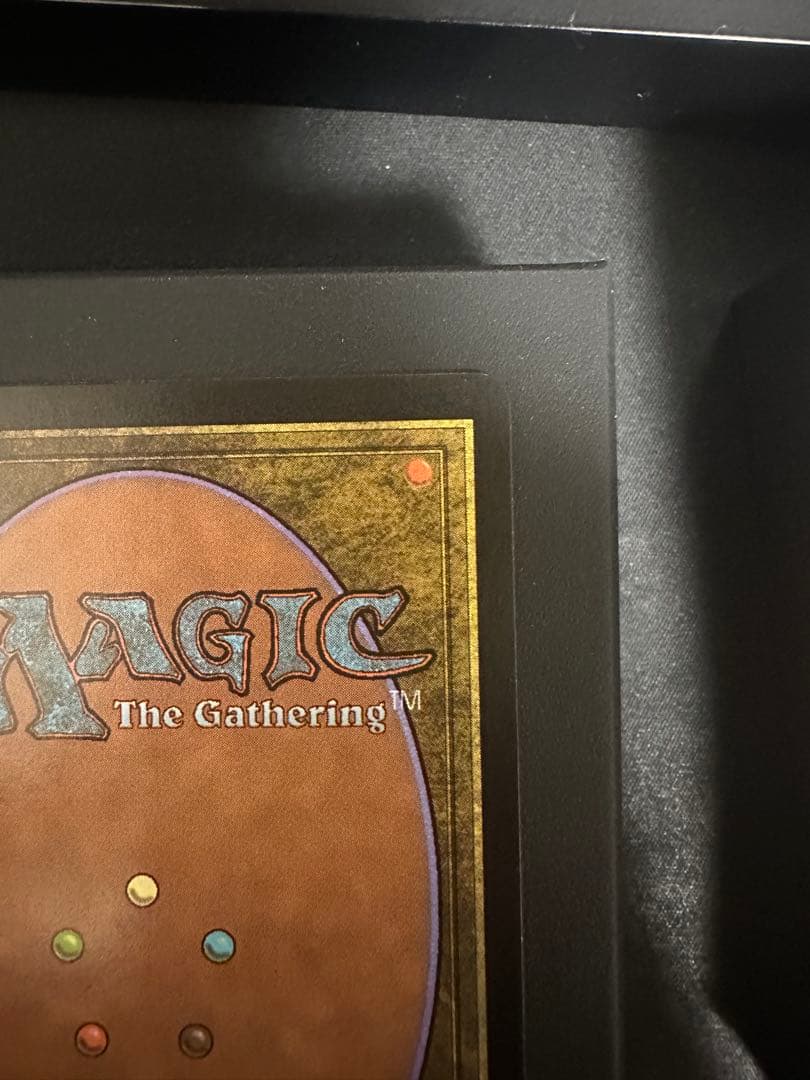 汚染された三角州　日本語　初版　foil