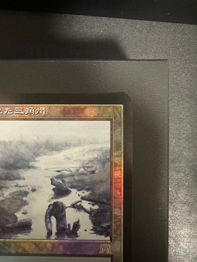 汚染された三角州　日本語　初版　foil