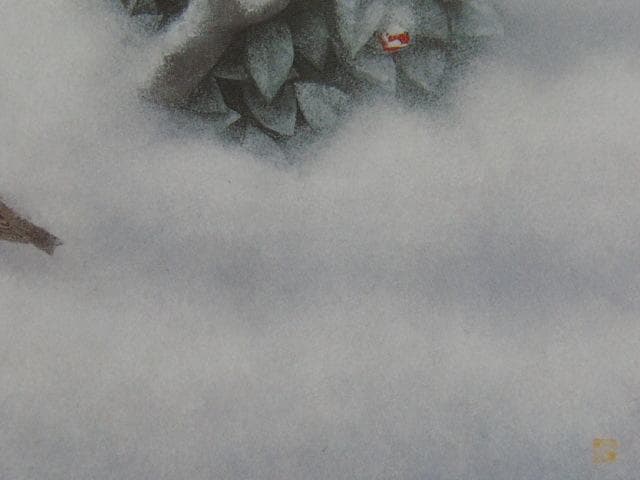 佐藤太清、【雪つばき】、希少な額装用画集より、新品額装付、状態良好