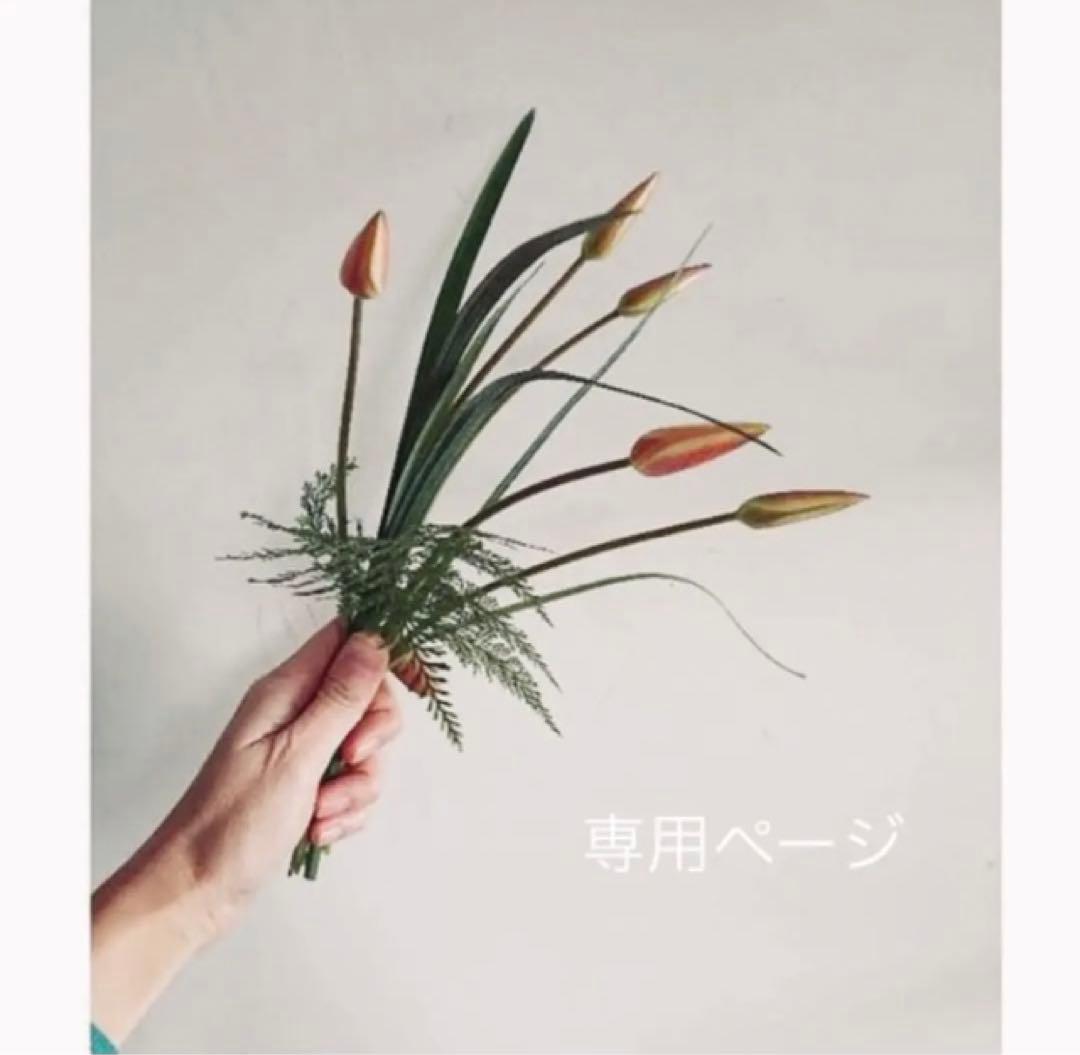 真作/茗圃/風花翁/夏富士山水図/名古屋/日泰寺/所蔵伝来/布袋屋掛軸HJ-63