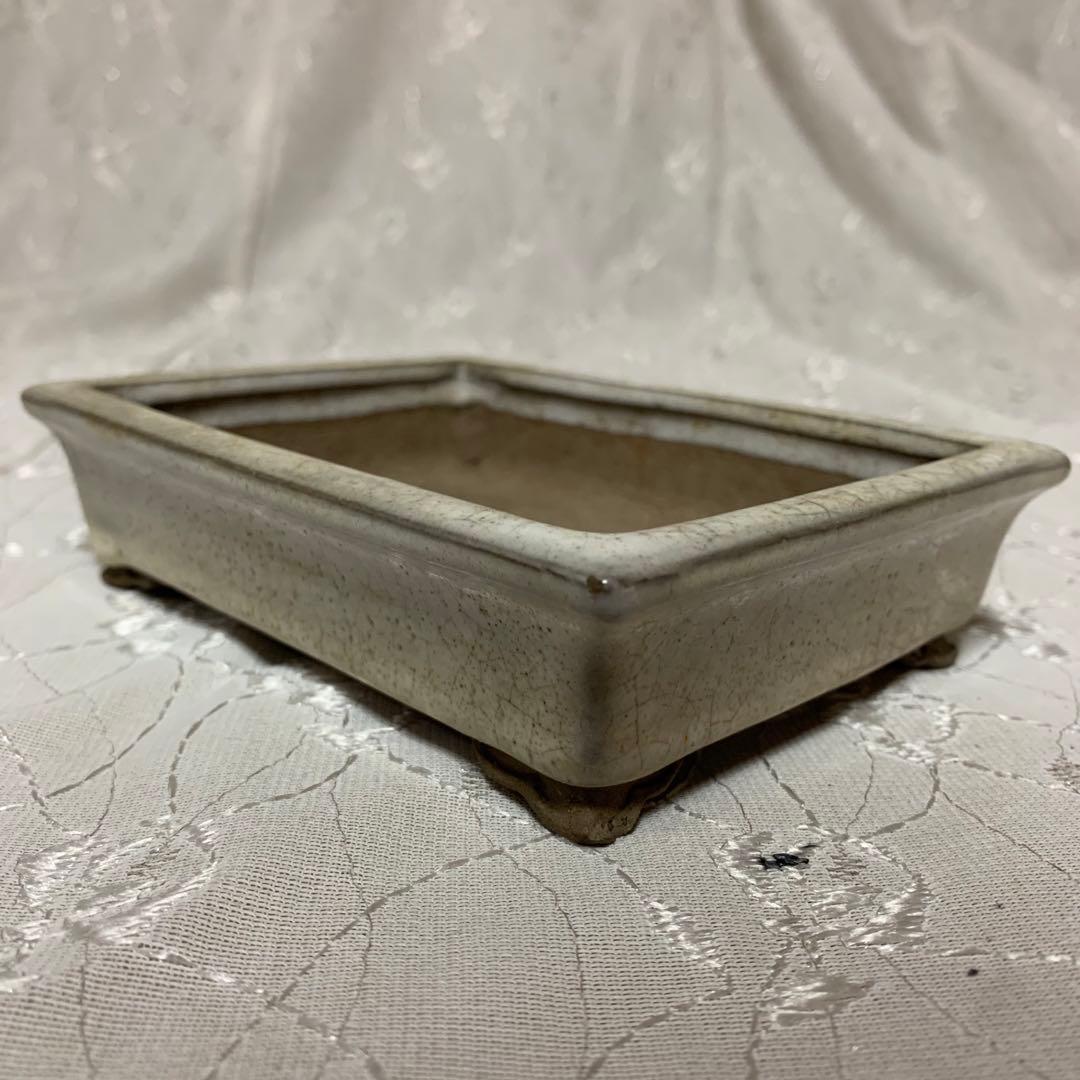 寿悦 長方 盆栽鉢