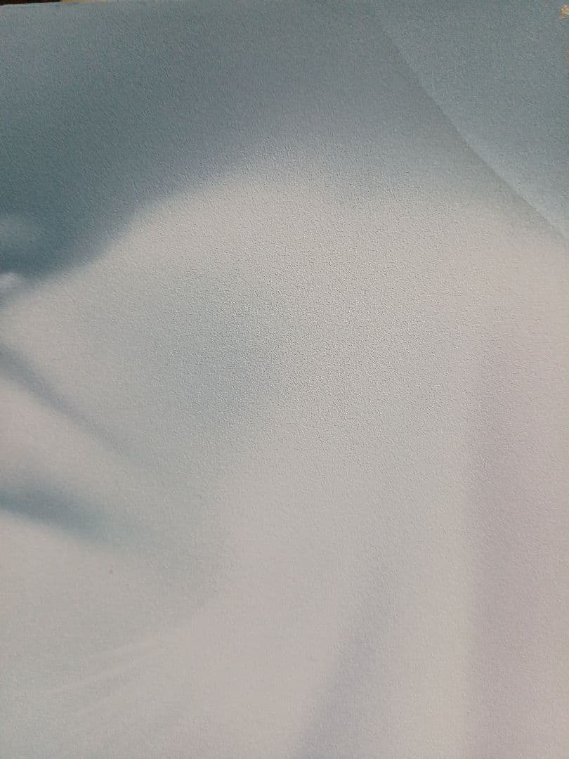 若尾和呂 「献身」 油彩 F3号 タリズマニックアート 幸運を招く絵 膜