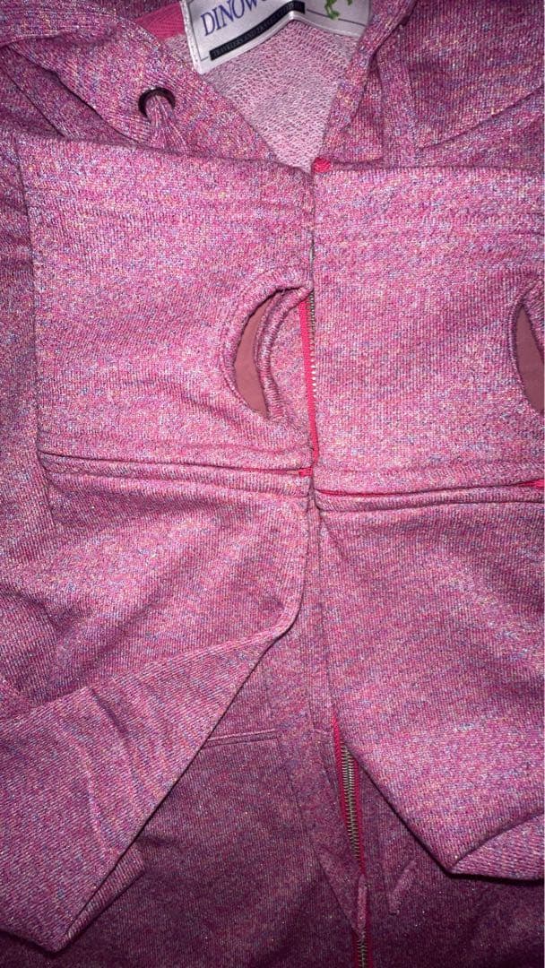 トップス DINOWORKS Paris Hoodie