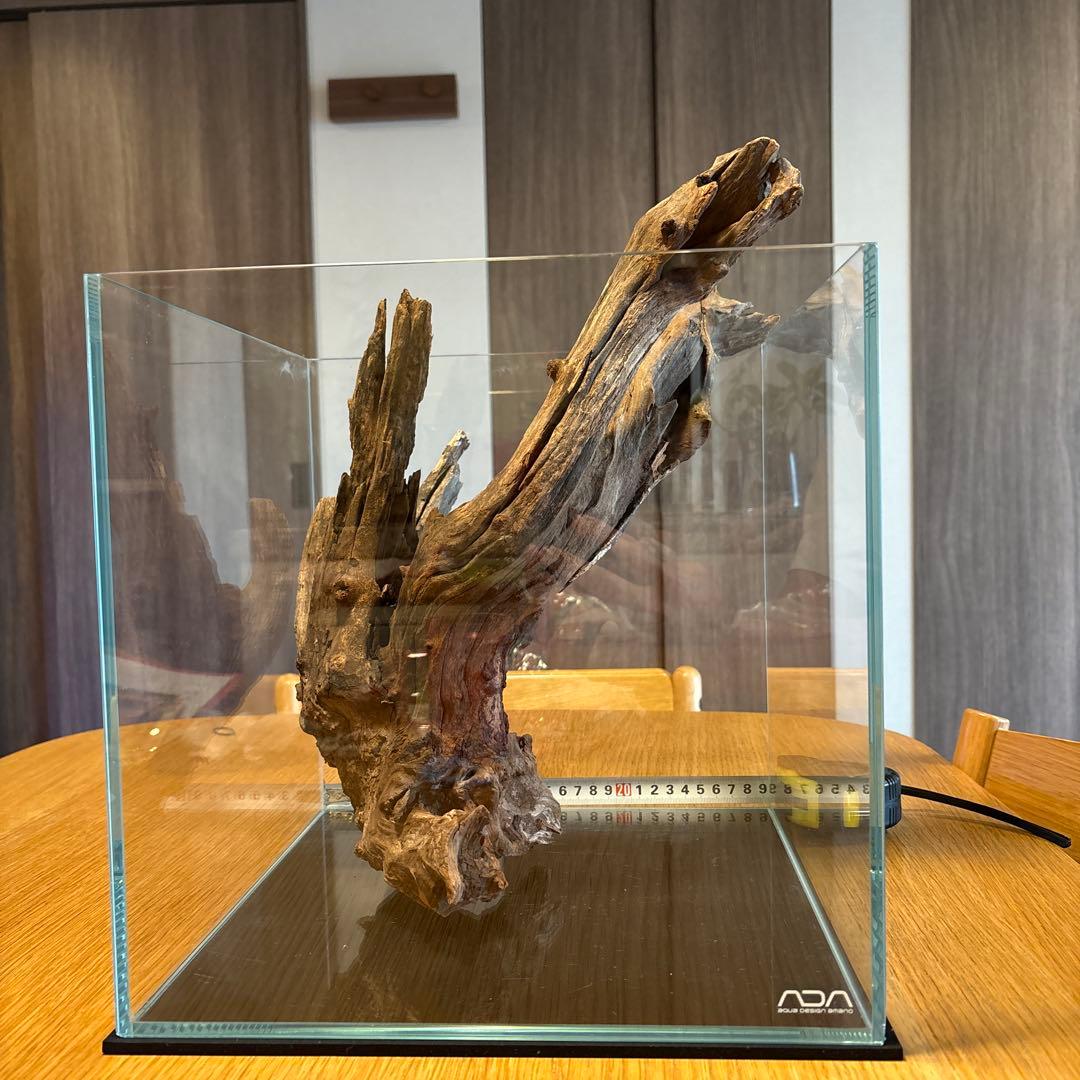 ADA流木 ＊まとめ買いの場合は引き