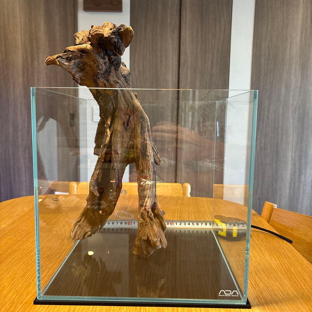 ADA流木 ＊まとめ買いの場合は引き