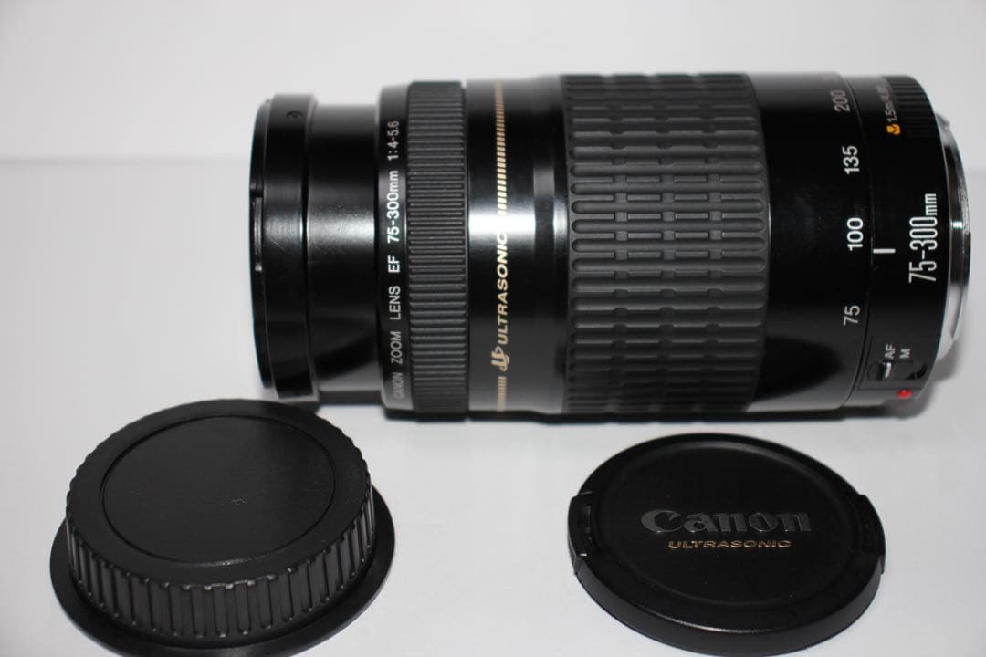 フード付き/望遠レンズ/CANON EF 75-300㎜ F4-5.6