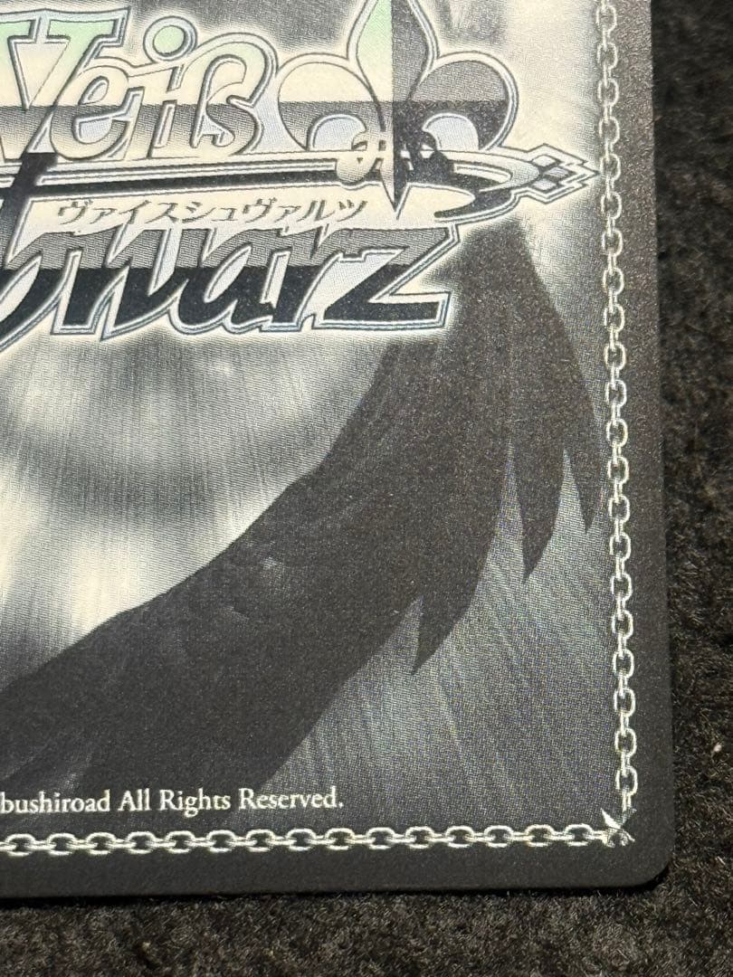 【マグネットローダー付き】キアサージ　sp