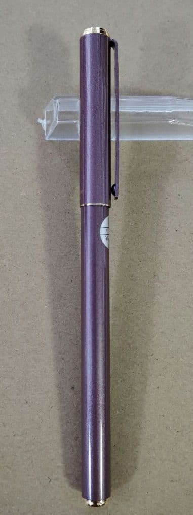 万年筆　プラチナ　ビーライン BEE Line　パープル　ゴールドアクセント