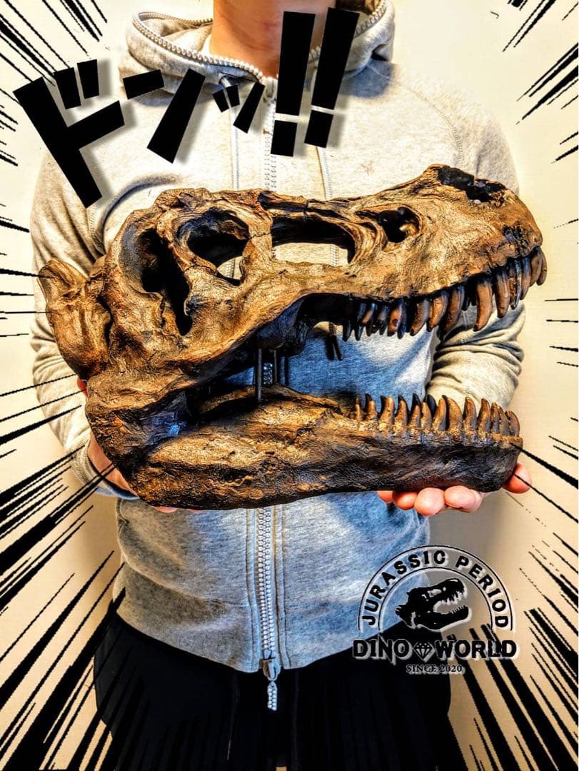 お得な2個セット！ ティラノサウルス 化石 インテリア 雑貨 オブジェ