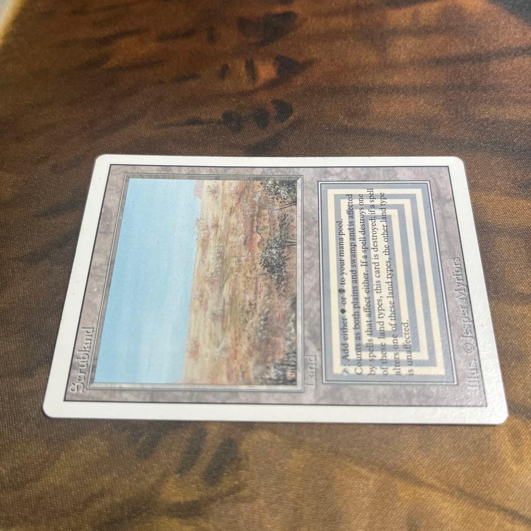 MTG 《Scrubland》[3ED]