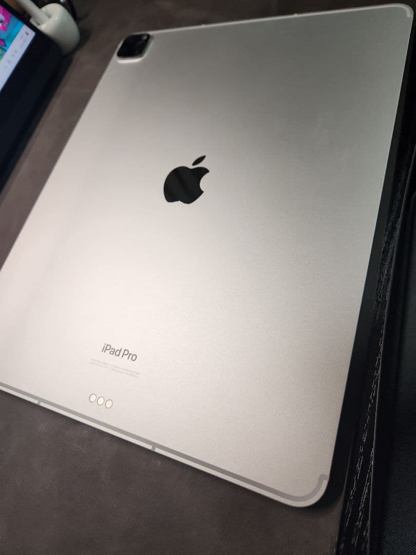 ipad pro 12.9 第6世代 512gb セルラーモデル 付属品多数 iPad Pro