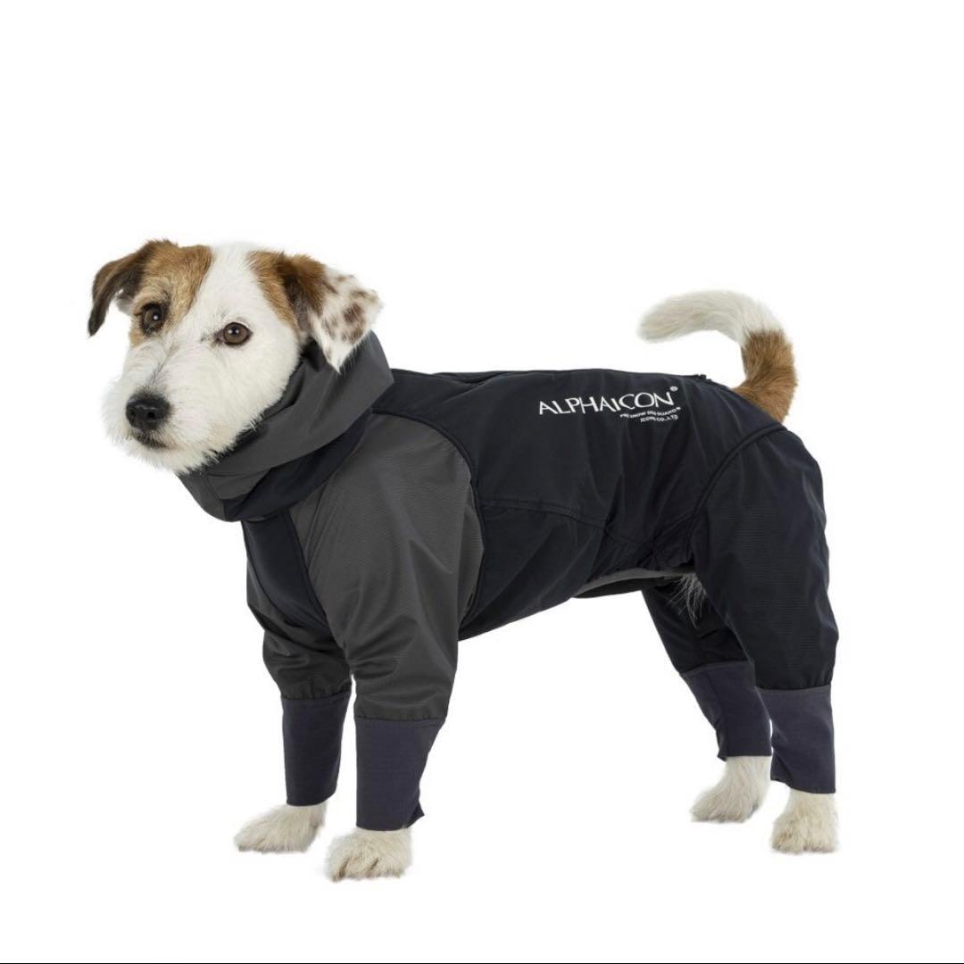 アルファアイコン＊スノードックガード＊FPM＊