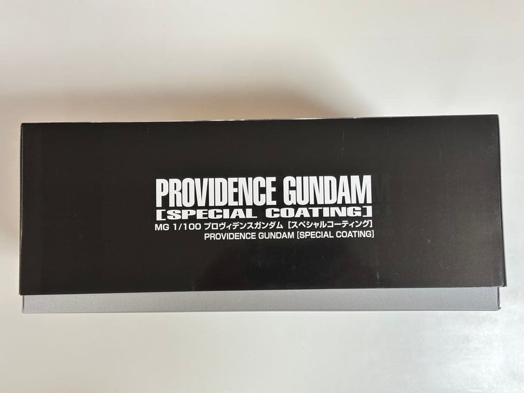 ＭＧ 1/100 プロヴィデンスガンダム スペシャルコーティング