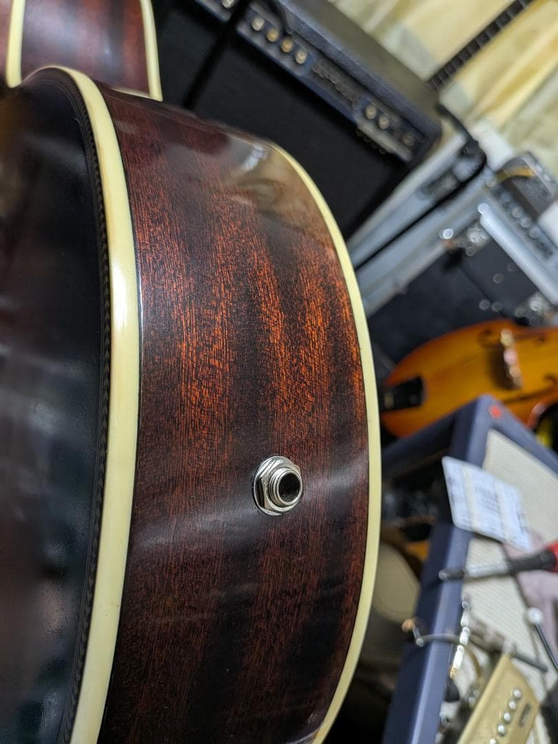 オンリーワン！Sandpiper ローレンス 2系統出力アンプ・生音動画！