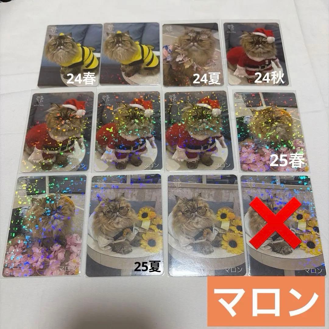 猫カフェ mocha 町田 にゃんずトレカ