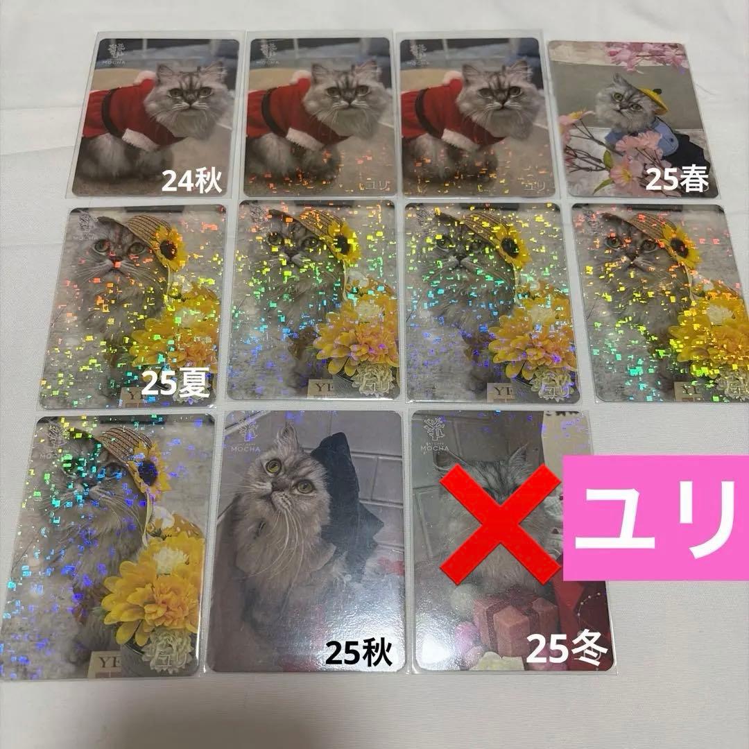 猫カフェ mocha 町田 にゃんずトレカ