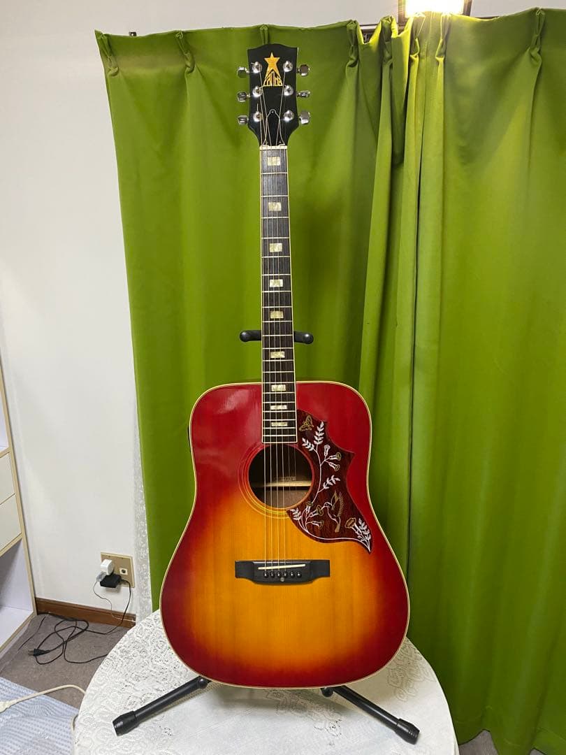 新春特価 Greco ハミングバード エレアコ フジゲン製 - メルカリ