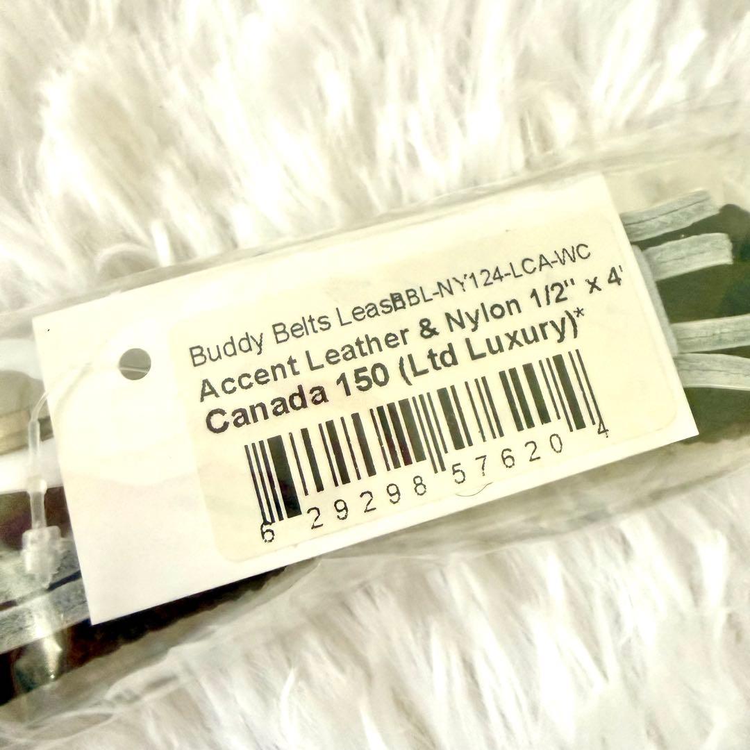 新品] BBベルト 2.5号 スワロフスキー付き+リード セット*ホワイト