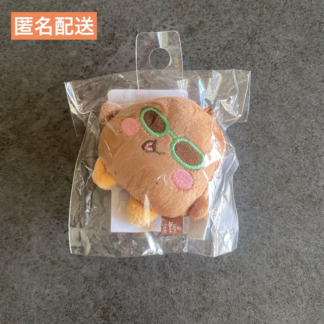 RIIZE ソウルコン MD ミニドールキーリング ウンソク ソンヨンドリ