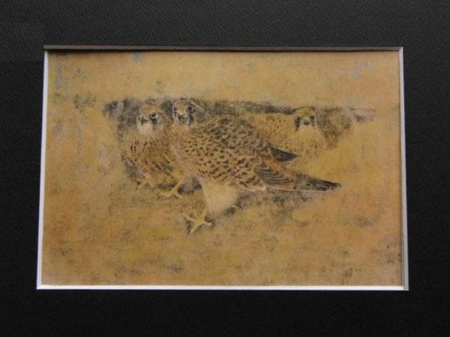 野々内良樹、【長元坊】、希少な額装用画集より、新品額装付、状態良好