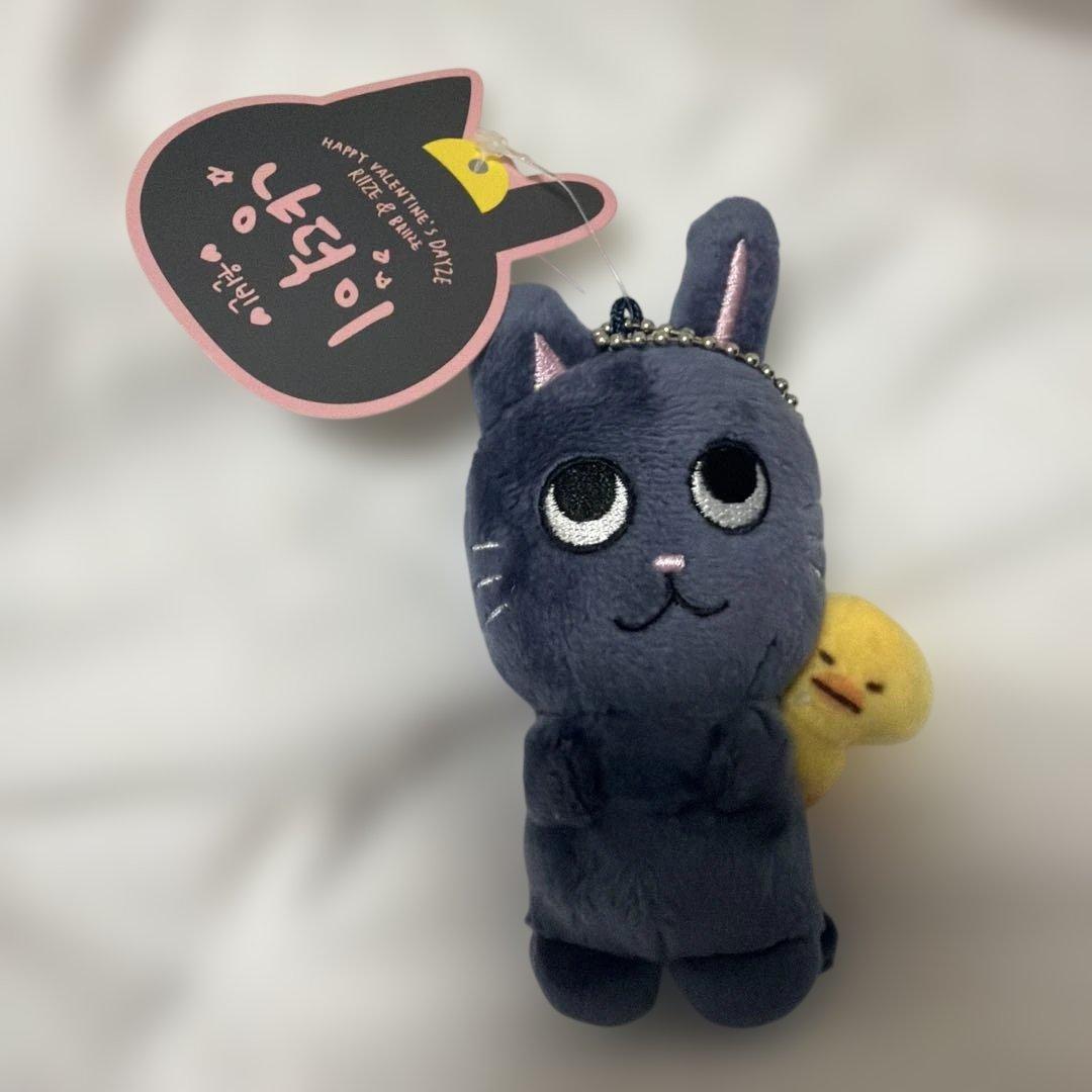 RIIZE ウォンビン トニャンドク 10cmぬいぐるみ - メルカリ