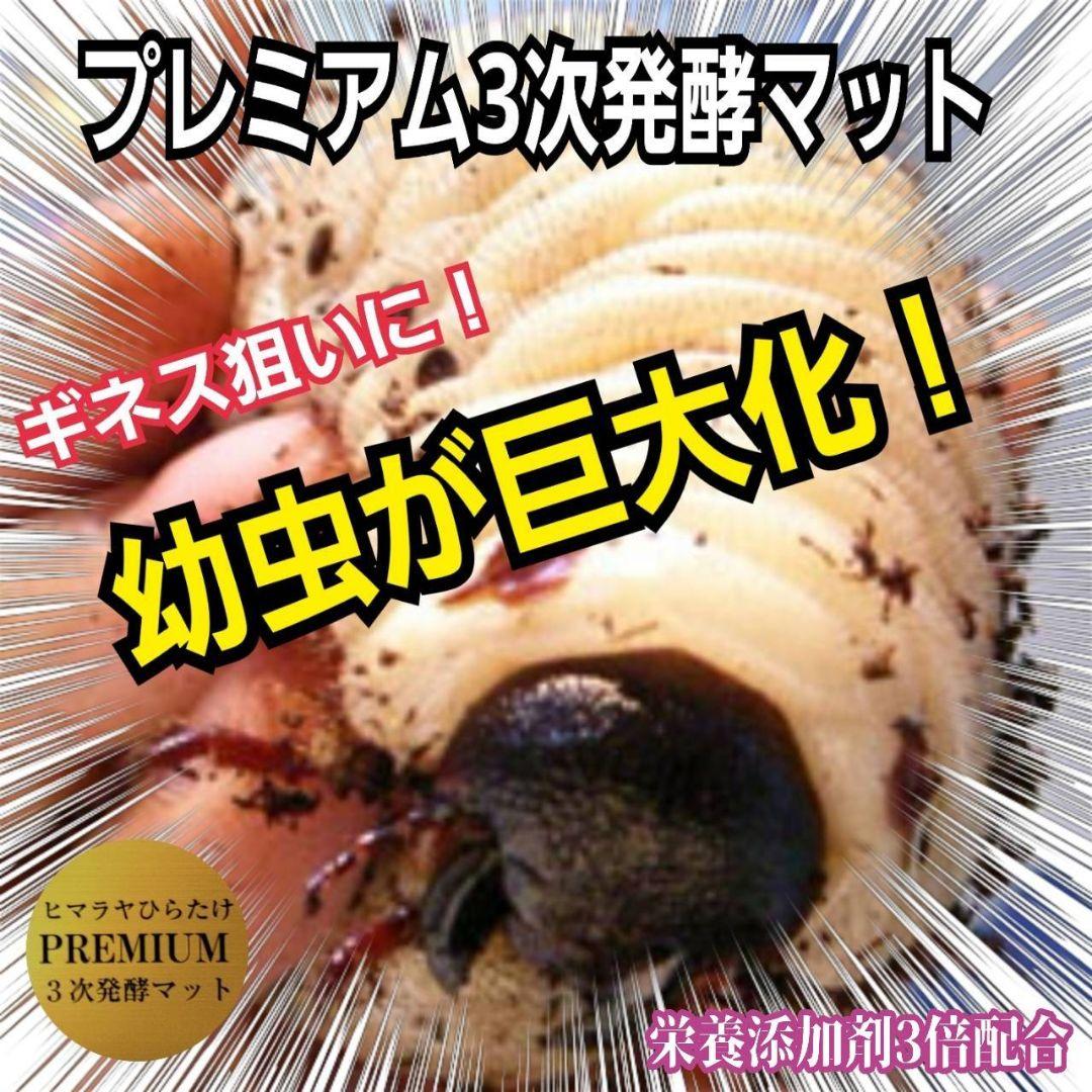 ヘラクレスに抜群！プレミアム3次発酵カブトムシマット【4袋】ギネス