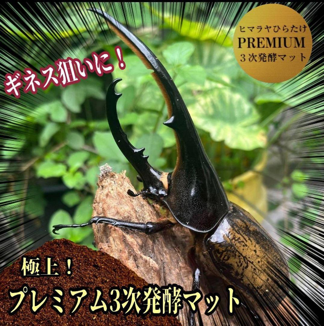 極上！ヘラクレス181ミリ羽化！プレミアム3次発酵カブトムシマット 60