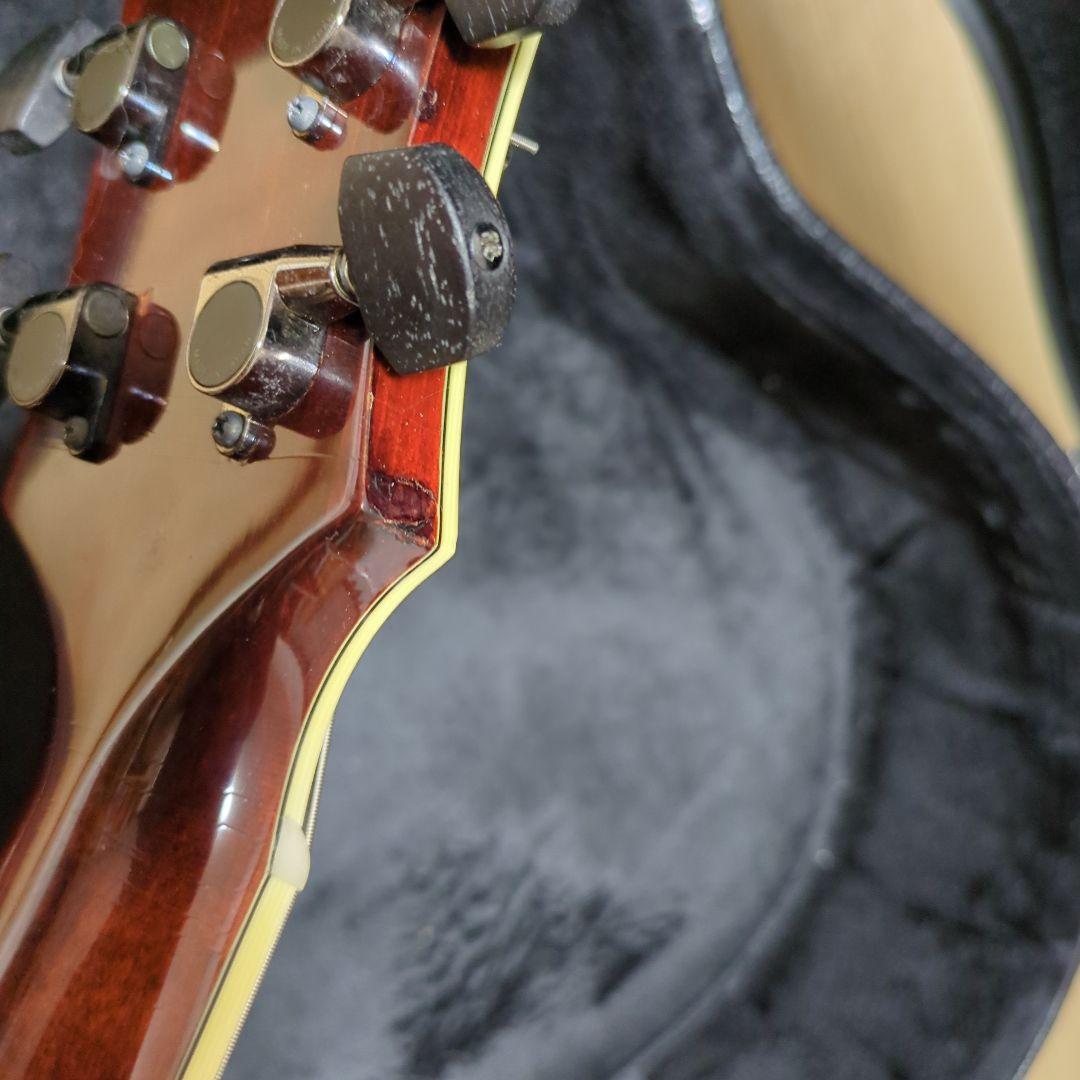 Eastman AR-803 AR803 ジャズ