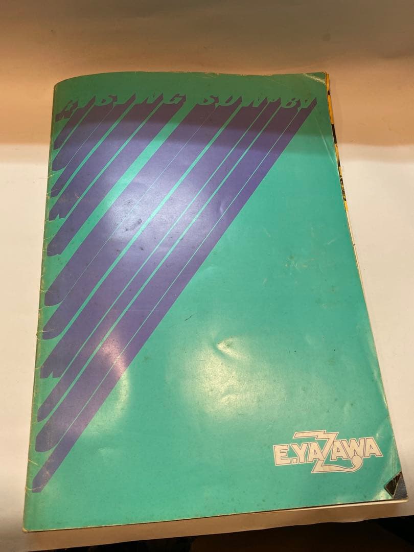 矢沢永吉 希少 サイン色紙 パンフレットRISING SUN