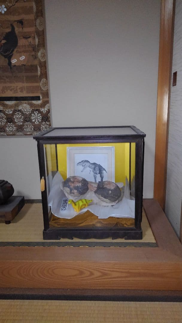 恐竜の卵 1億年前の天然化石