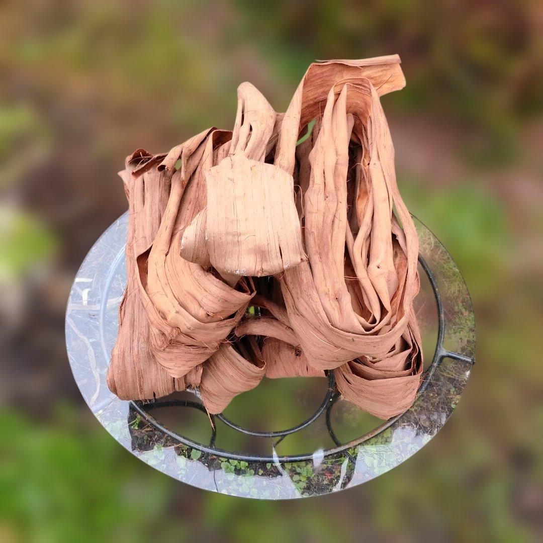 さーちゃん 青森岩木山産 山葡萄 皮 樹皮 約2kg