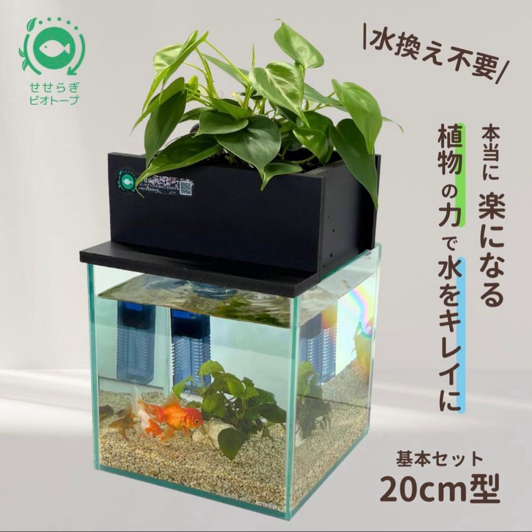 水槽　せせらぎビオトープ　20cm