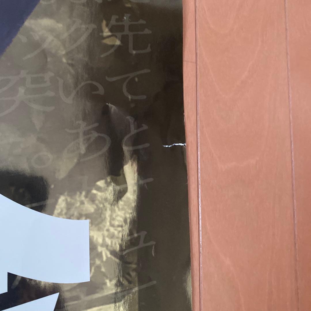 JRA第63回有馬記念中山競馬場キタサンブラックBIGポスターオマケファイル2枚