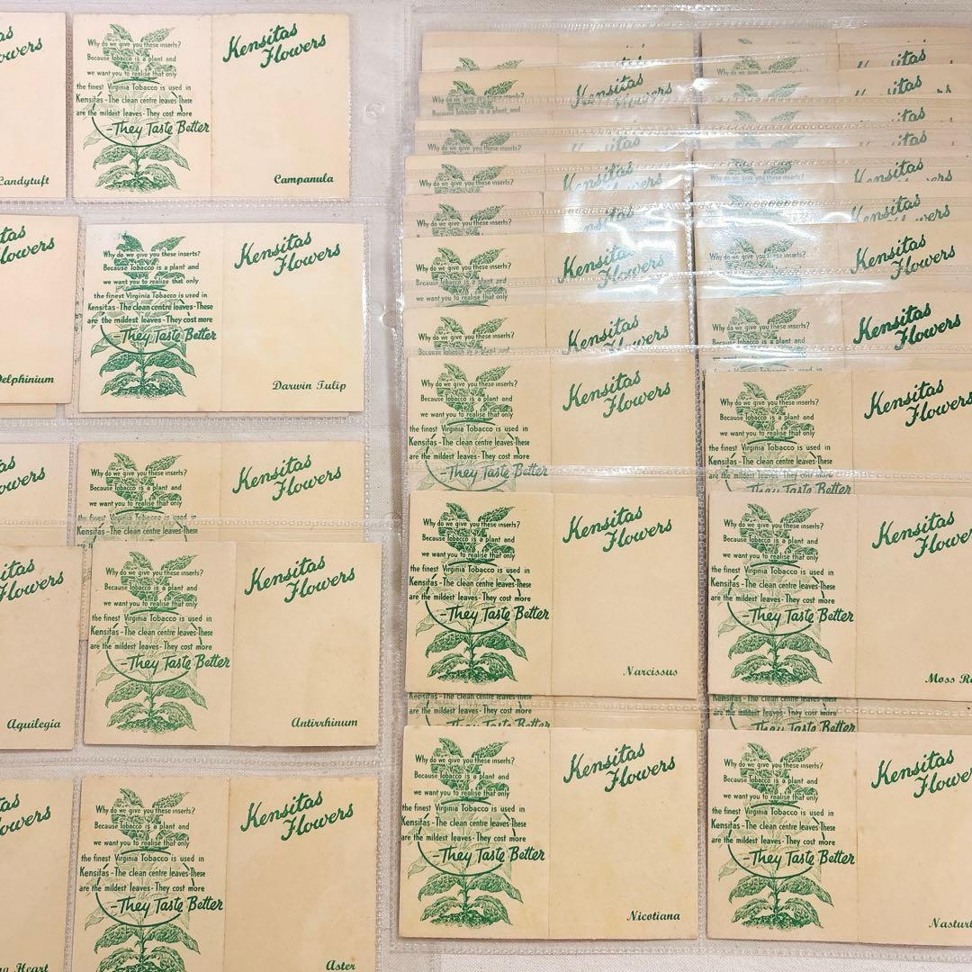 Mサイズ 花　刺繍　シガレットカード　60枚