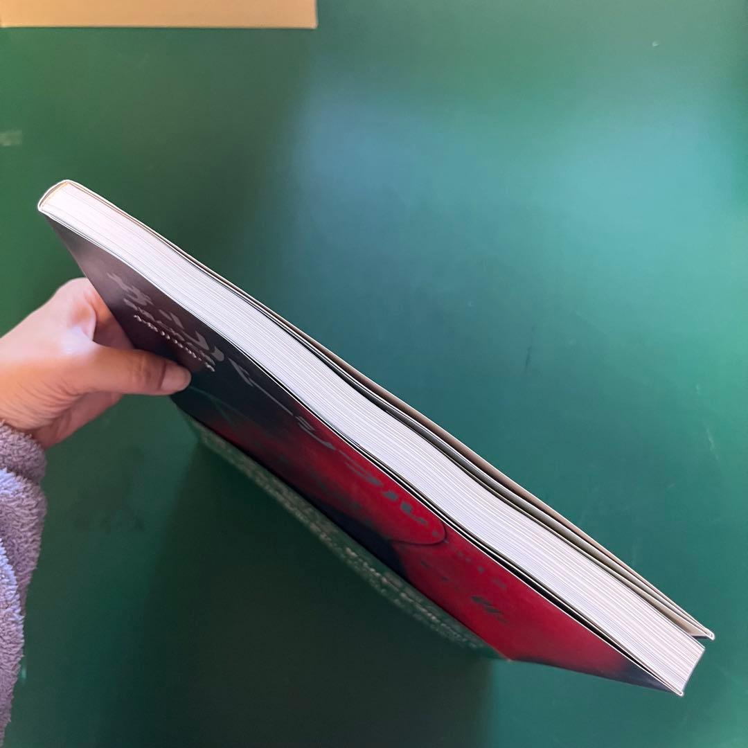 A*n様 ザ・リバーシブル Part 2 古本 美品